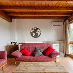 Apartment Il Lauro - House -